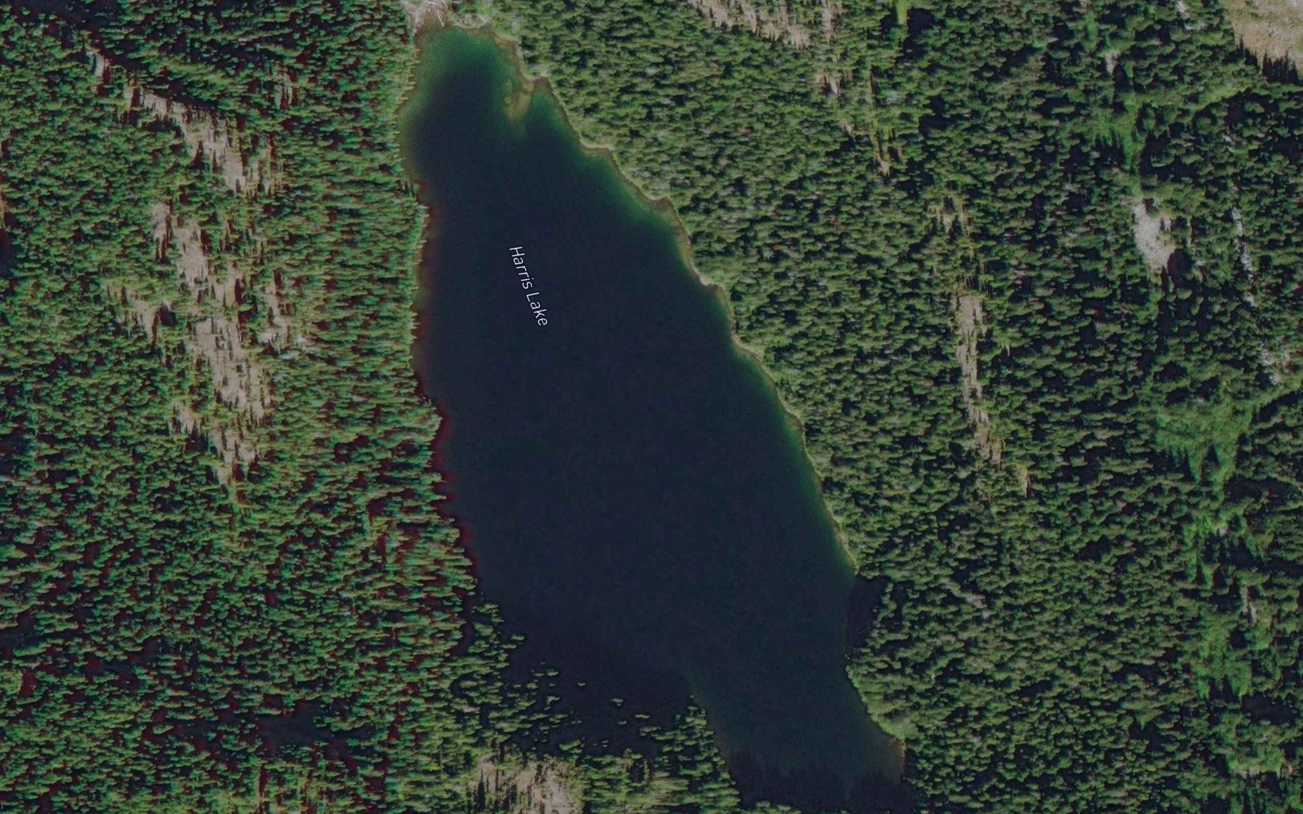 Harris Lake