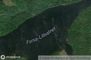 Forsalitlvatnet