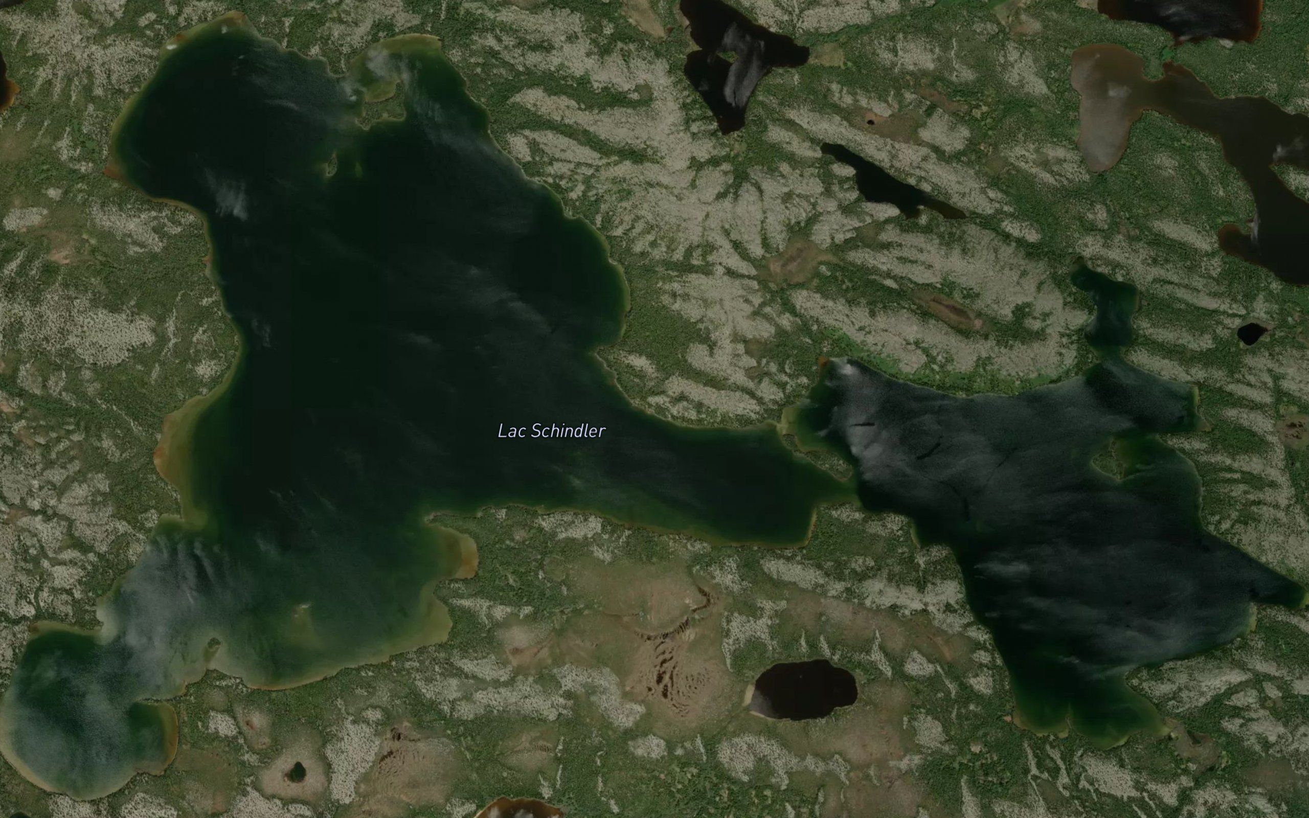 Lac Schindler