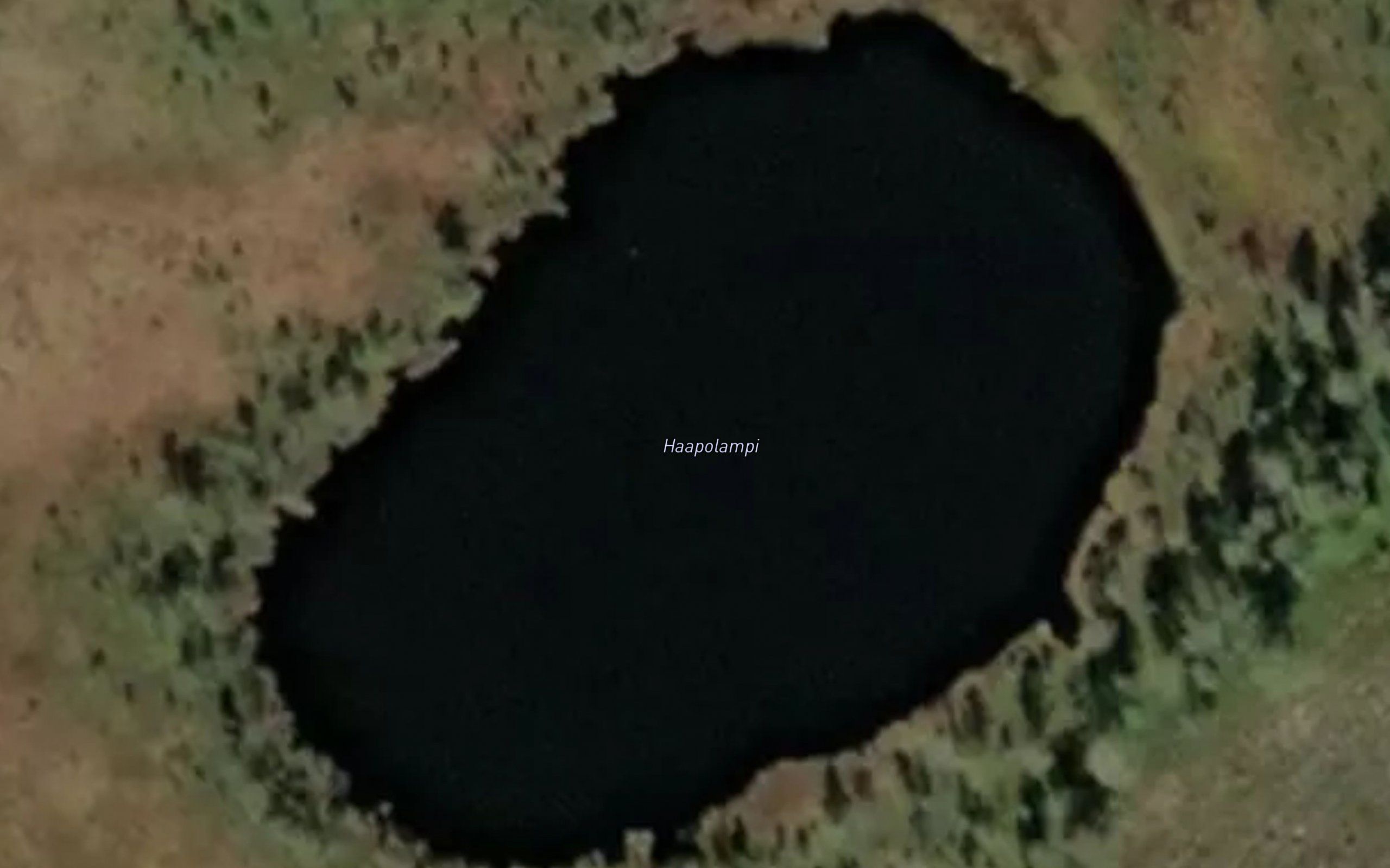 Haapolampi