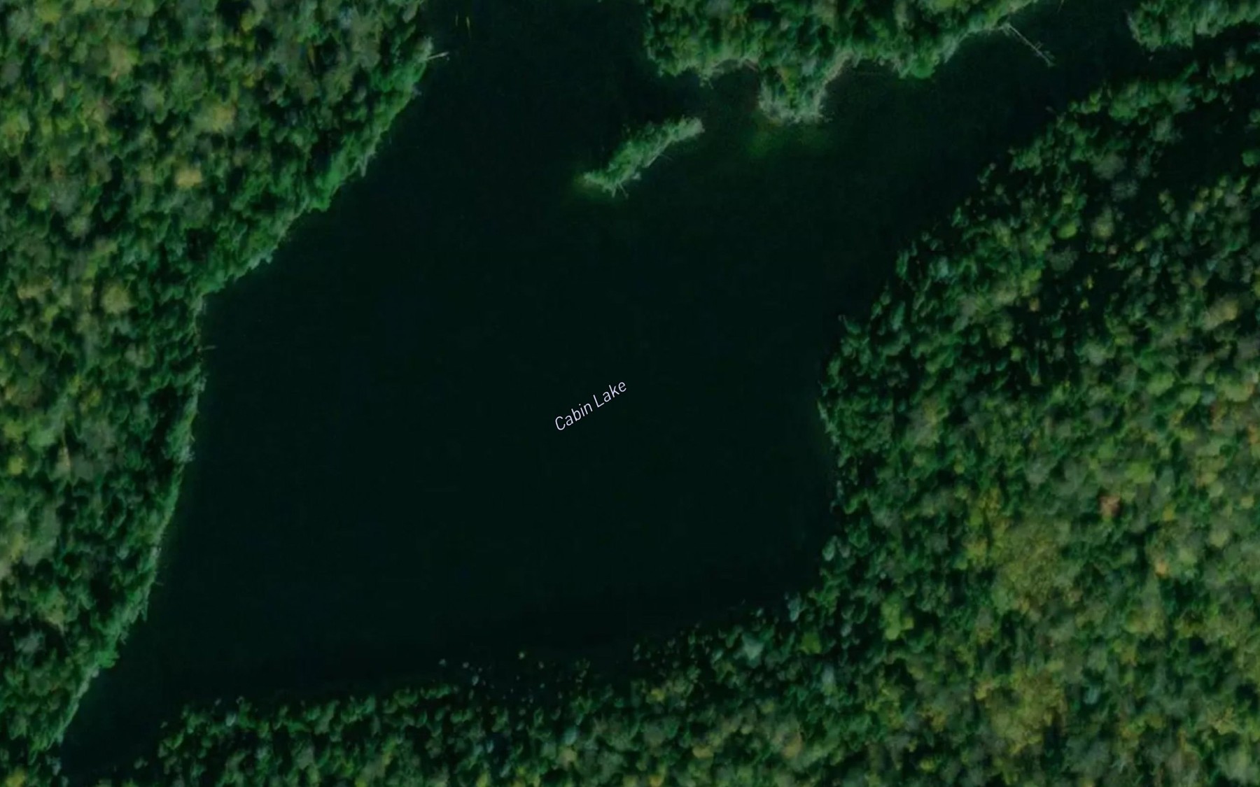 Satellite map of the Cabin Lake