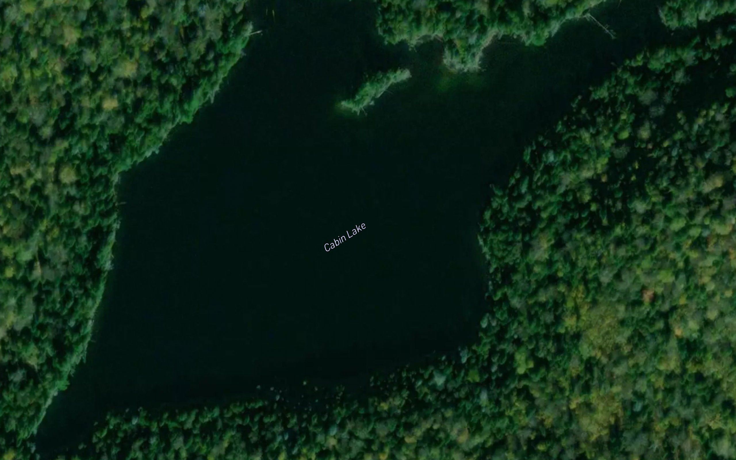 Cabin Lake