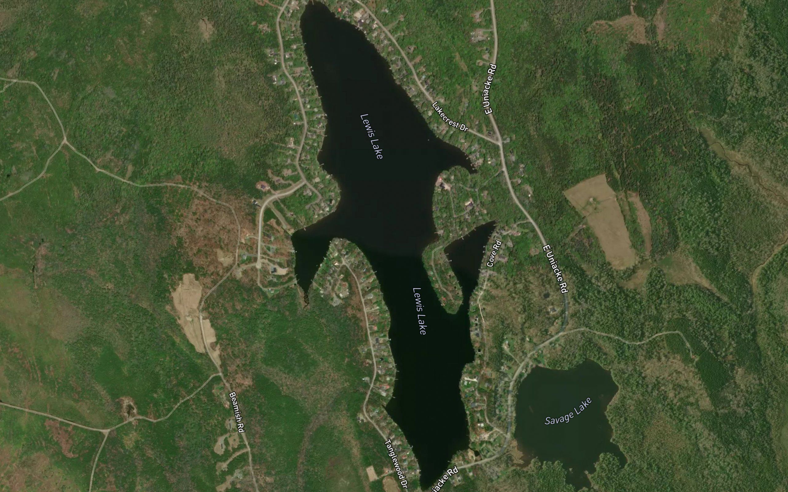 Lewis Lake