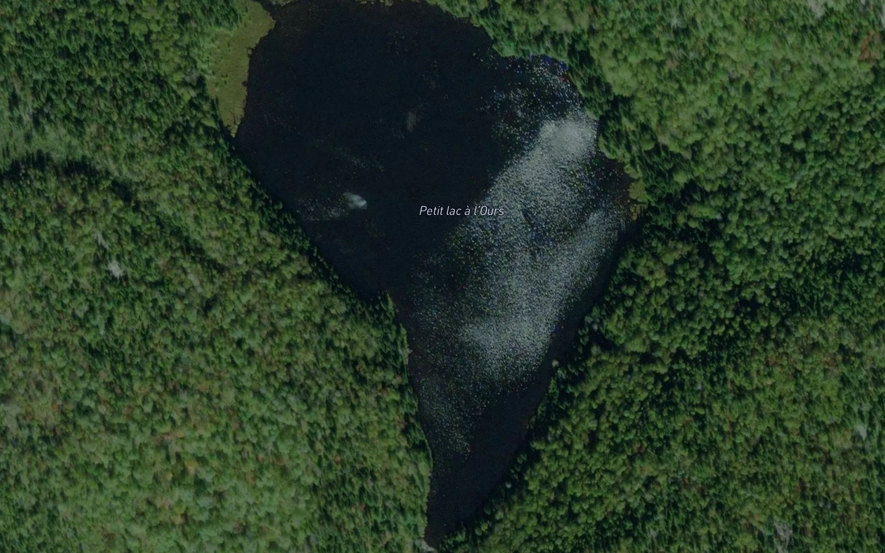Satellite map of the Petit lac a l'Ours