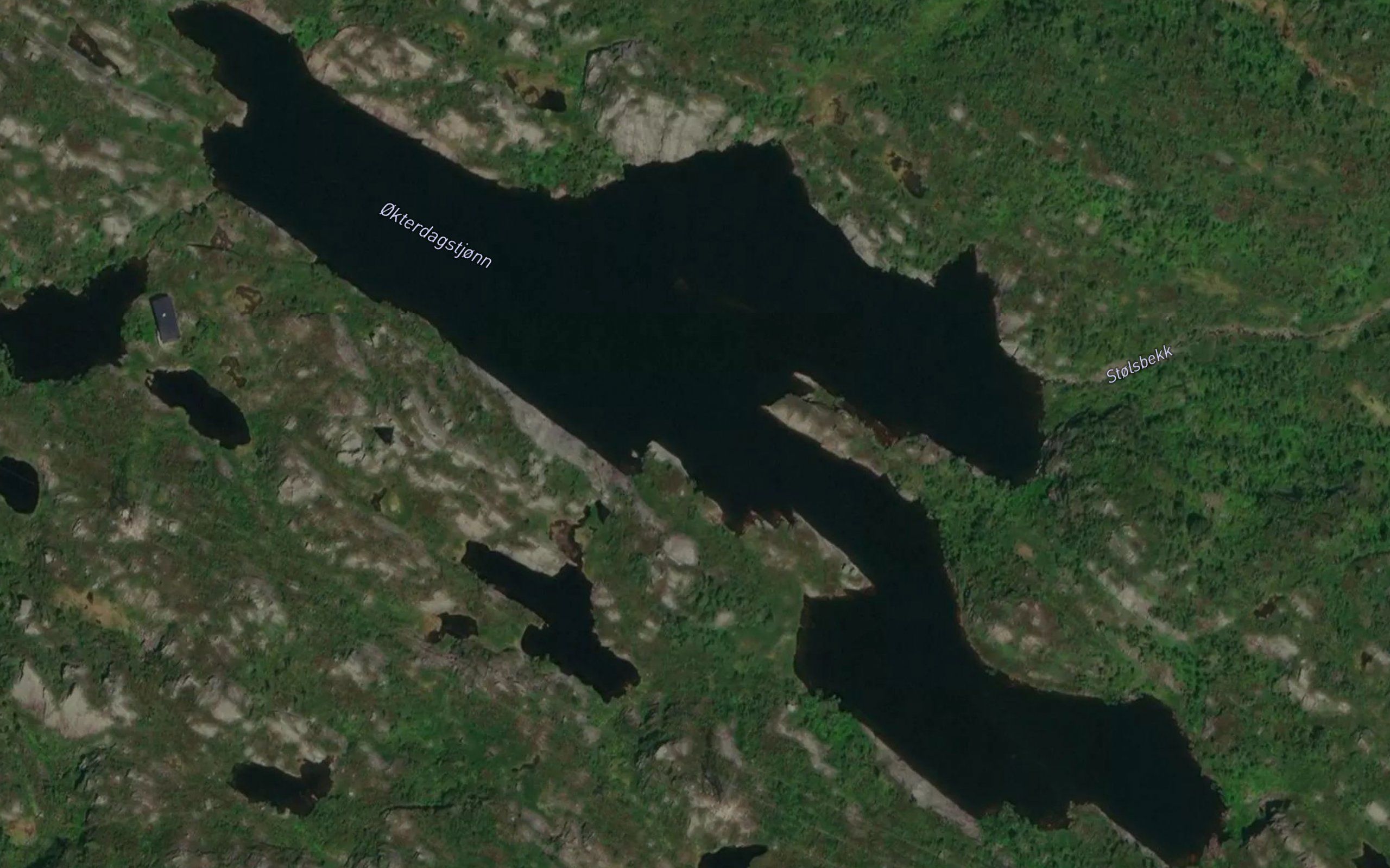 Okterdagstjonn