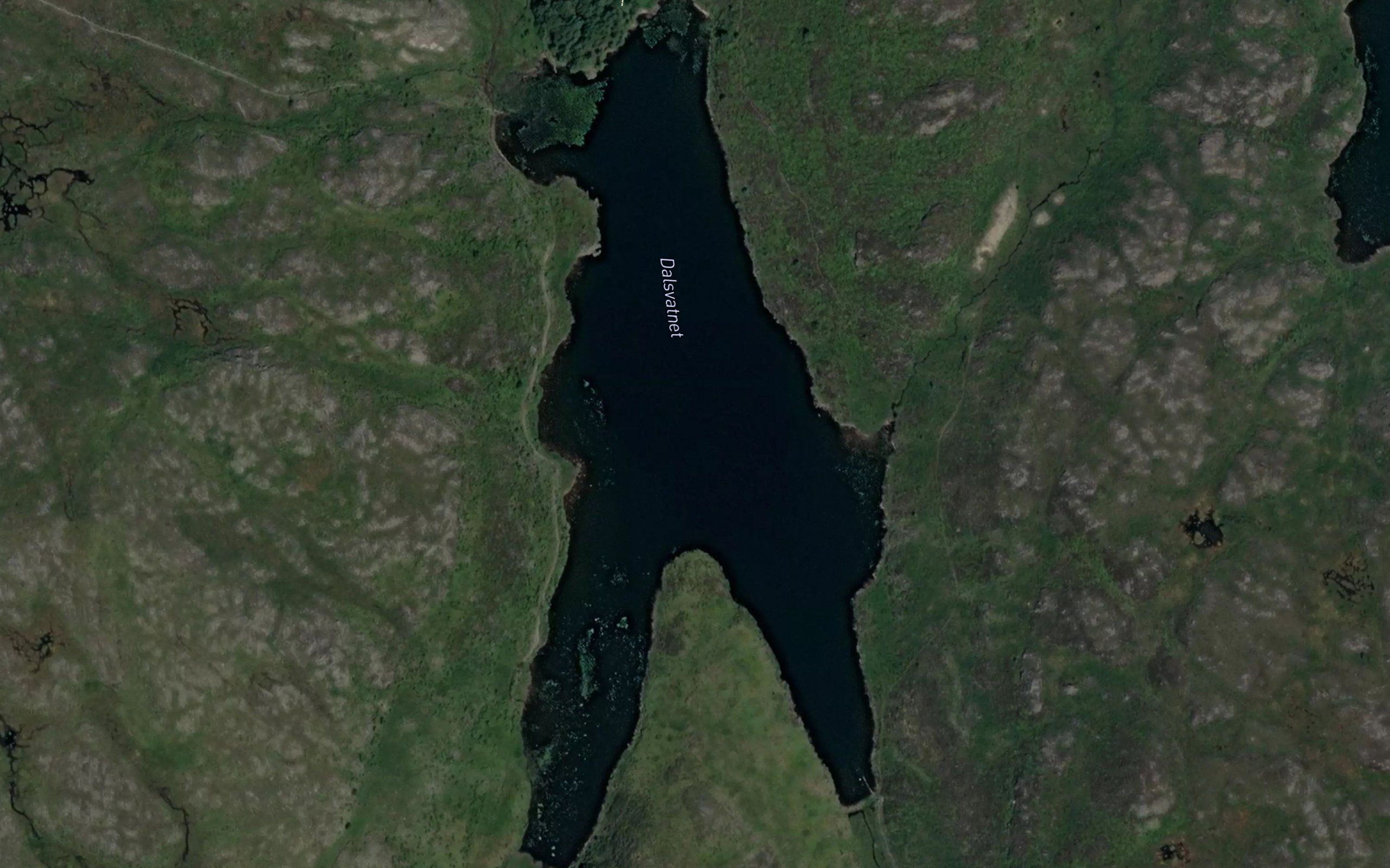 Dalsvatnet