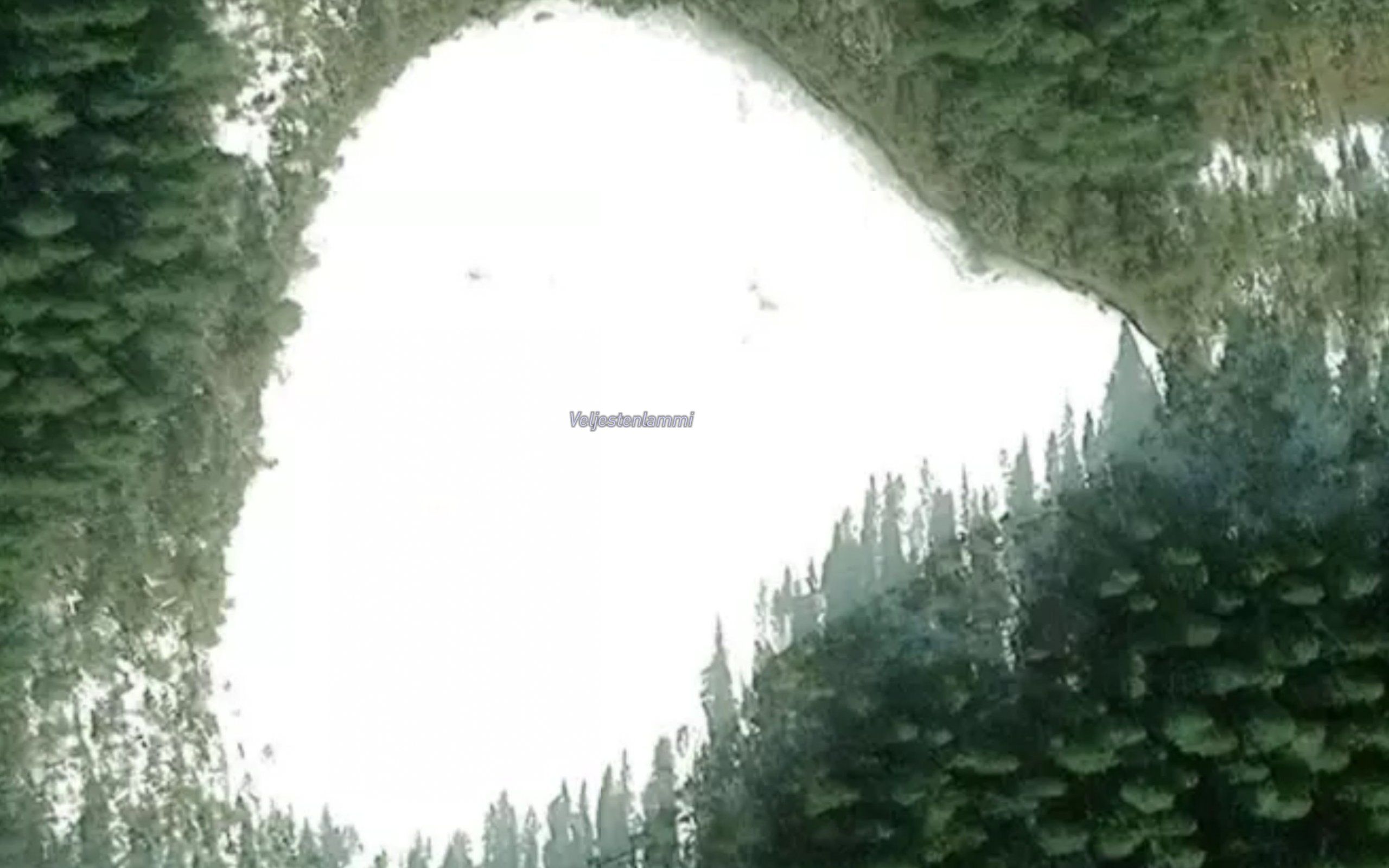 Veljestenlammi