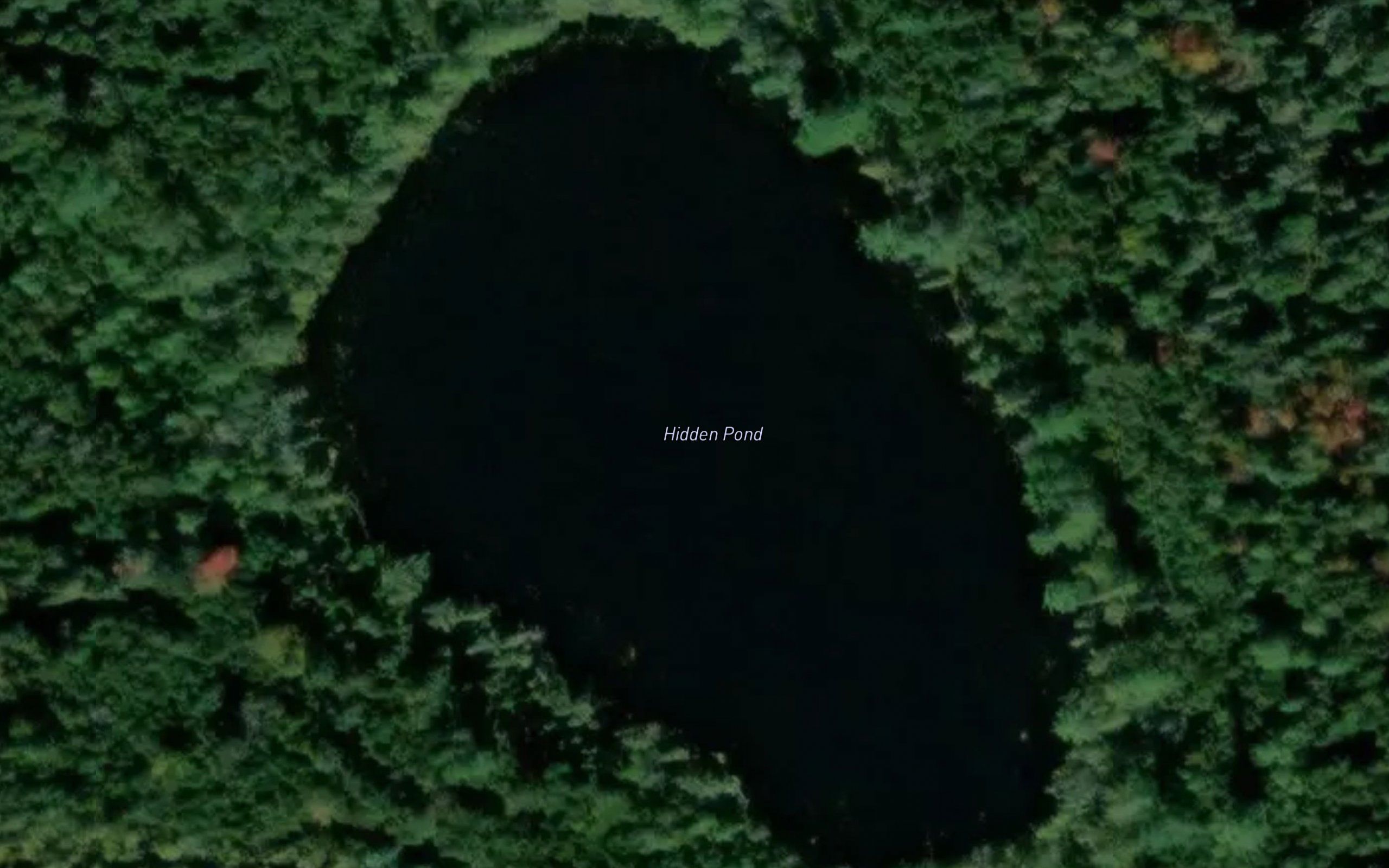 Hidden Pond