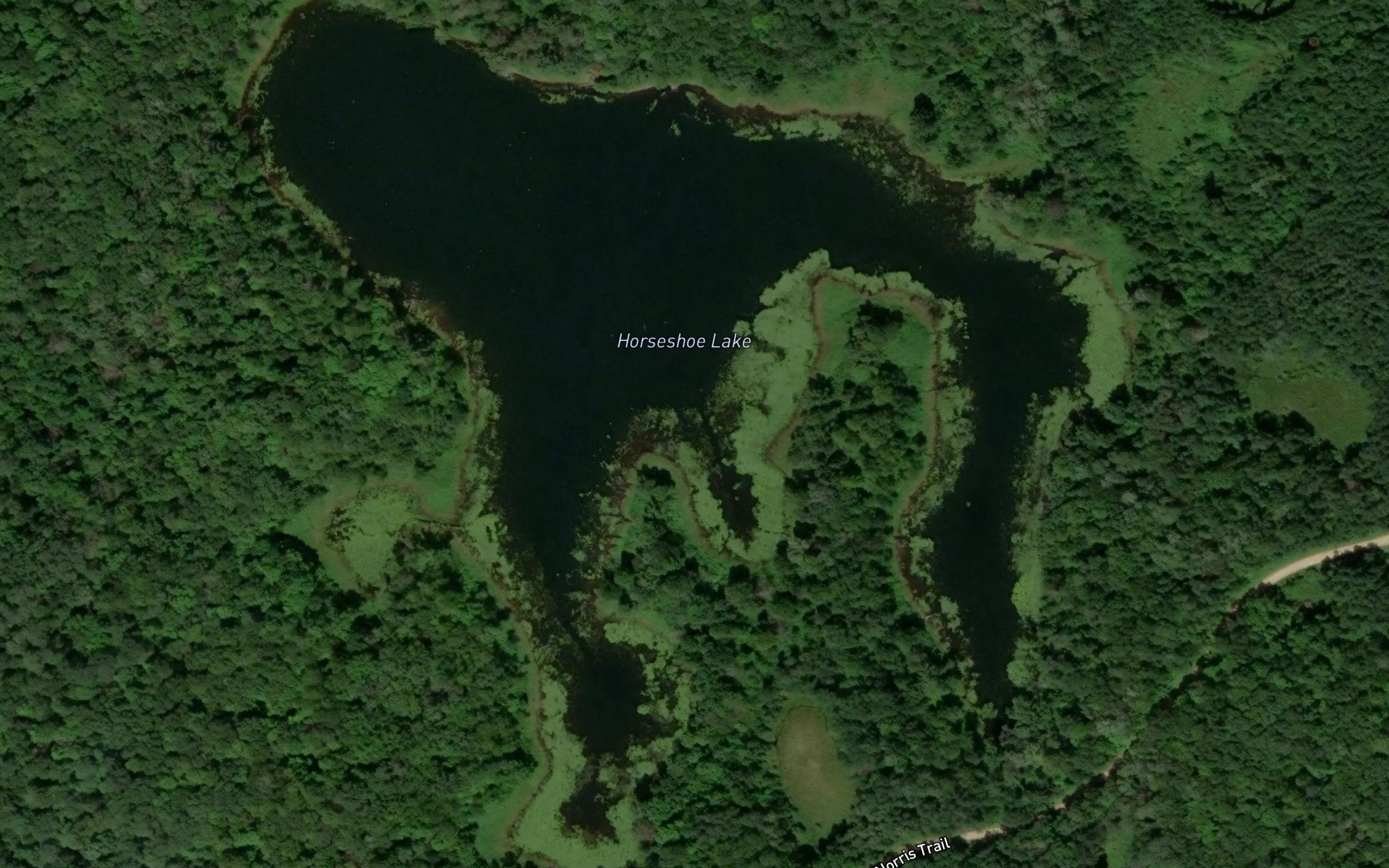 Horseshoe Lake