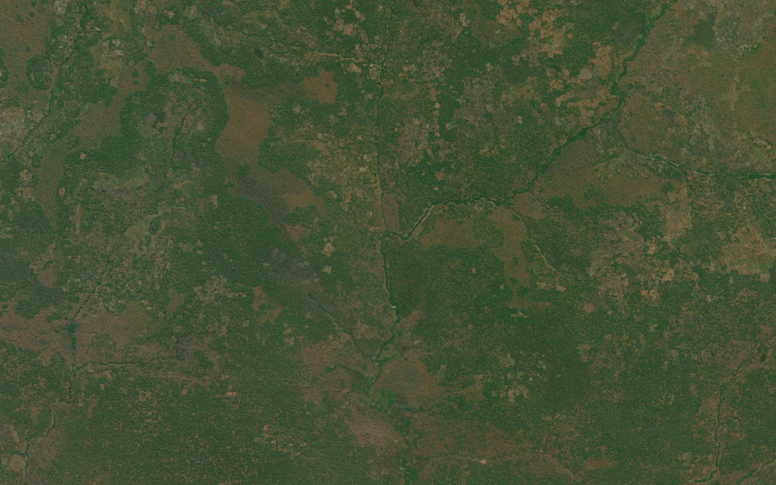 Mungalunga
