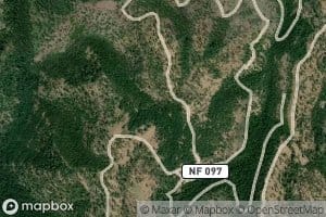 Big Fir Spring