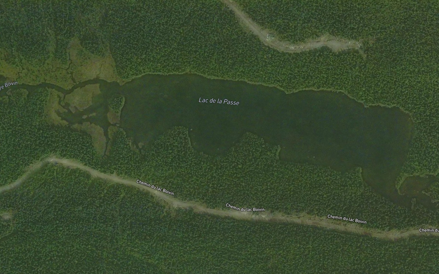Satellite map of the Lac de la Passe