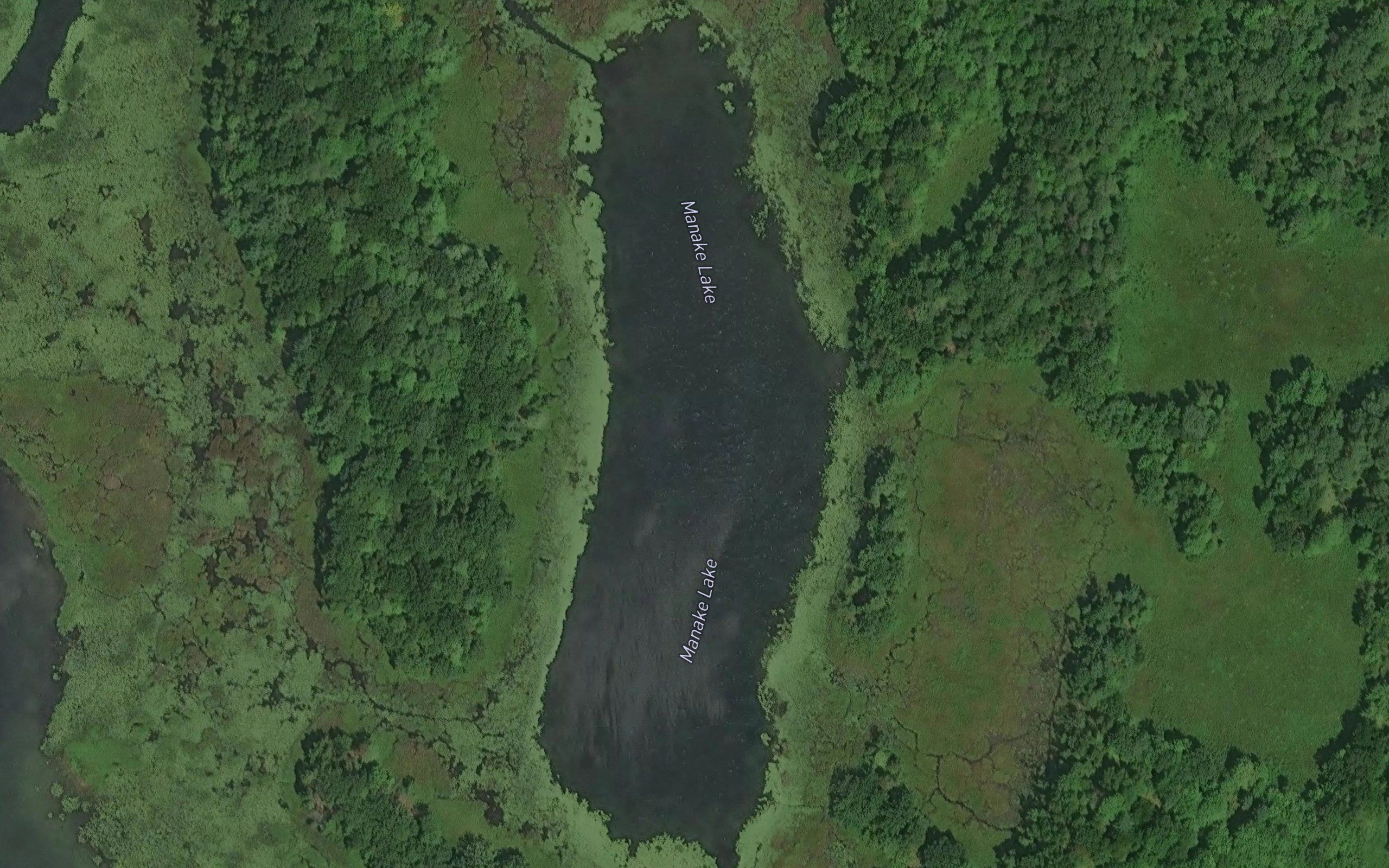 Manake Lake