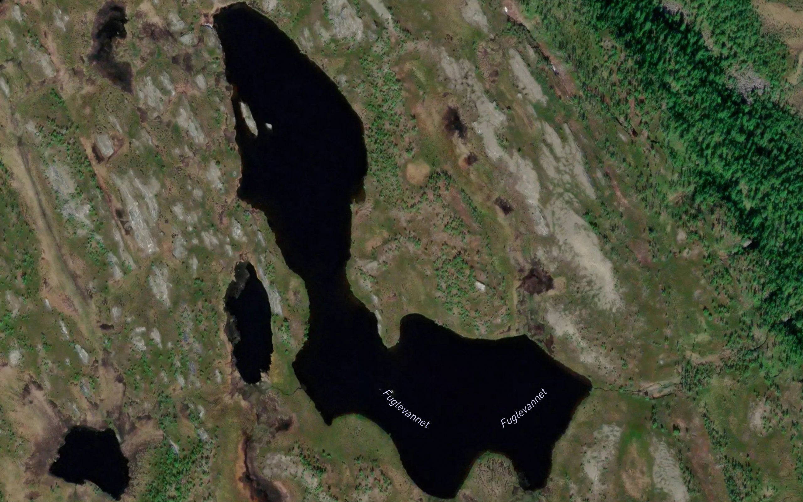 Fuglevatnet