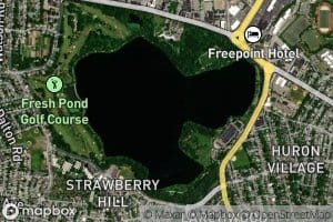 Fresh Pond