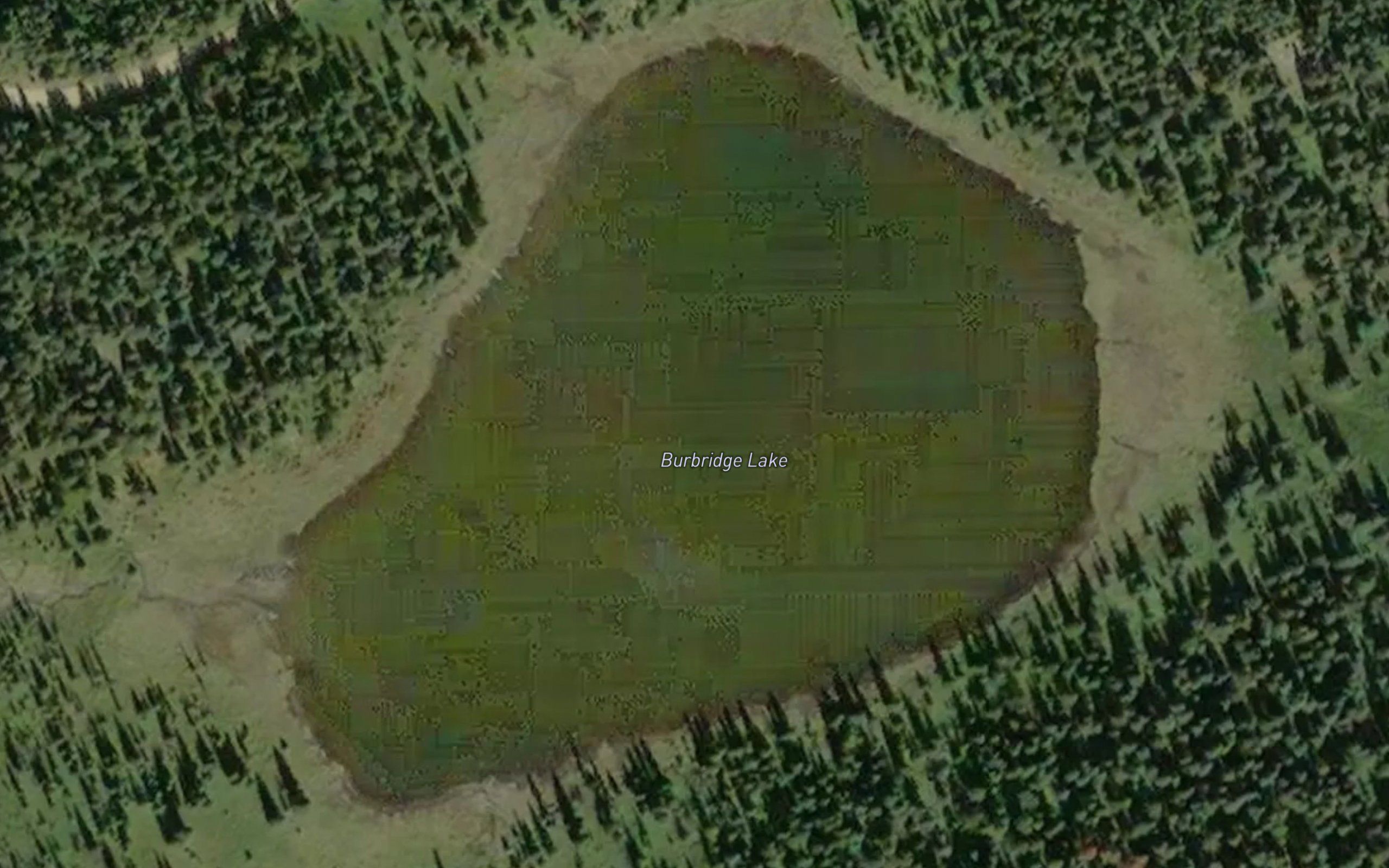 Burbridge Lake