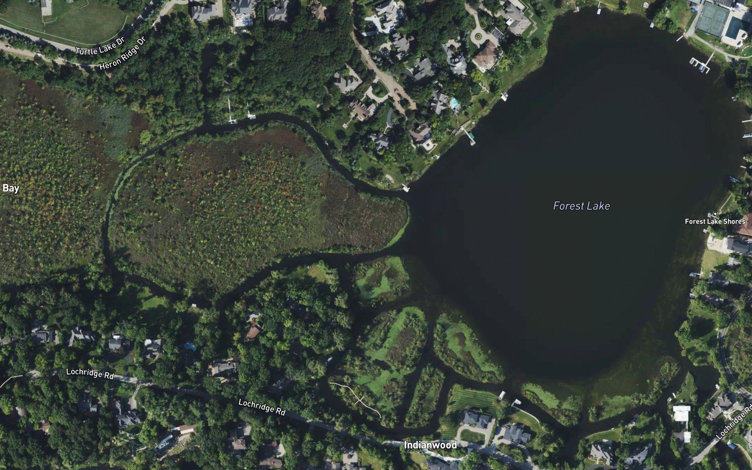 Forest Lake