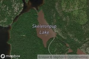 Skeletonpup Lake