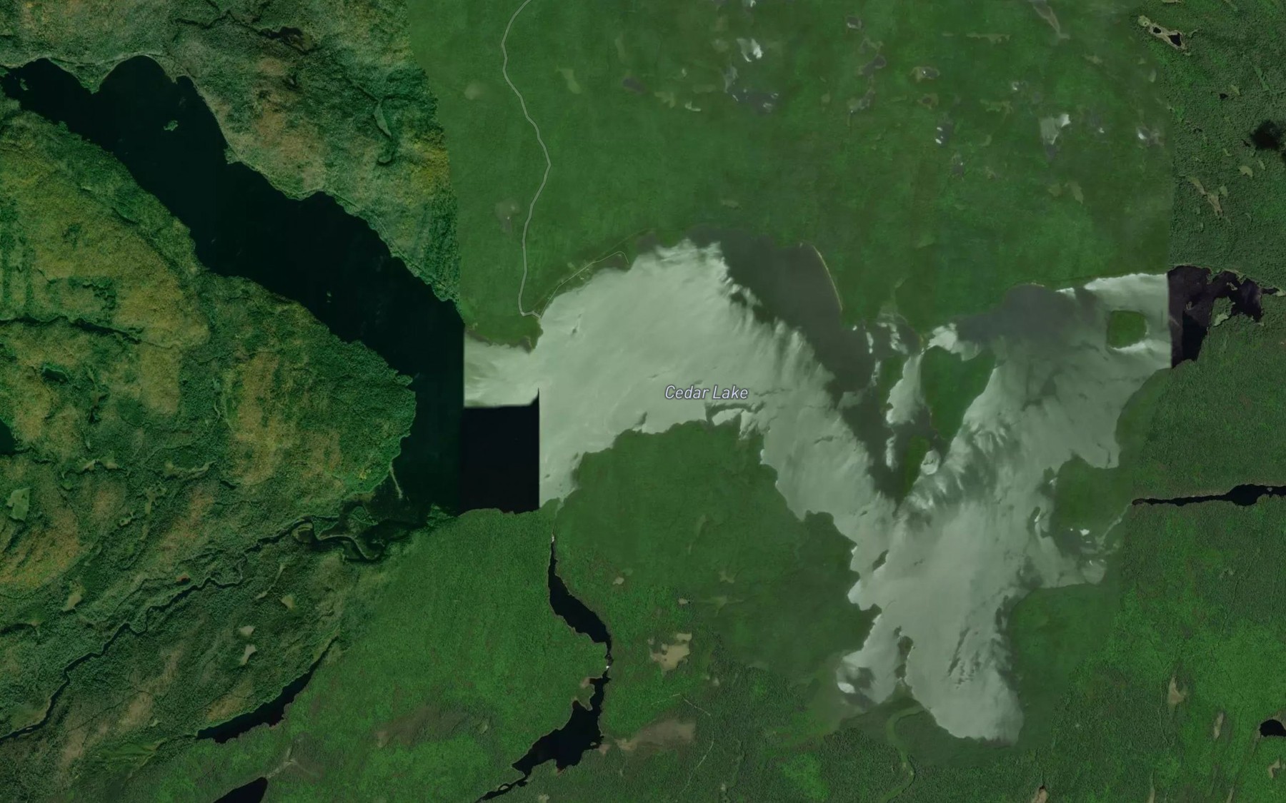 Satellite map of the Cedar Lake