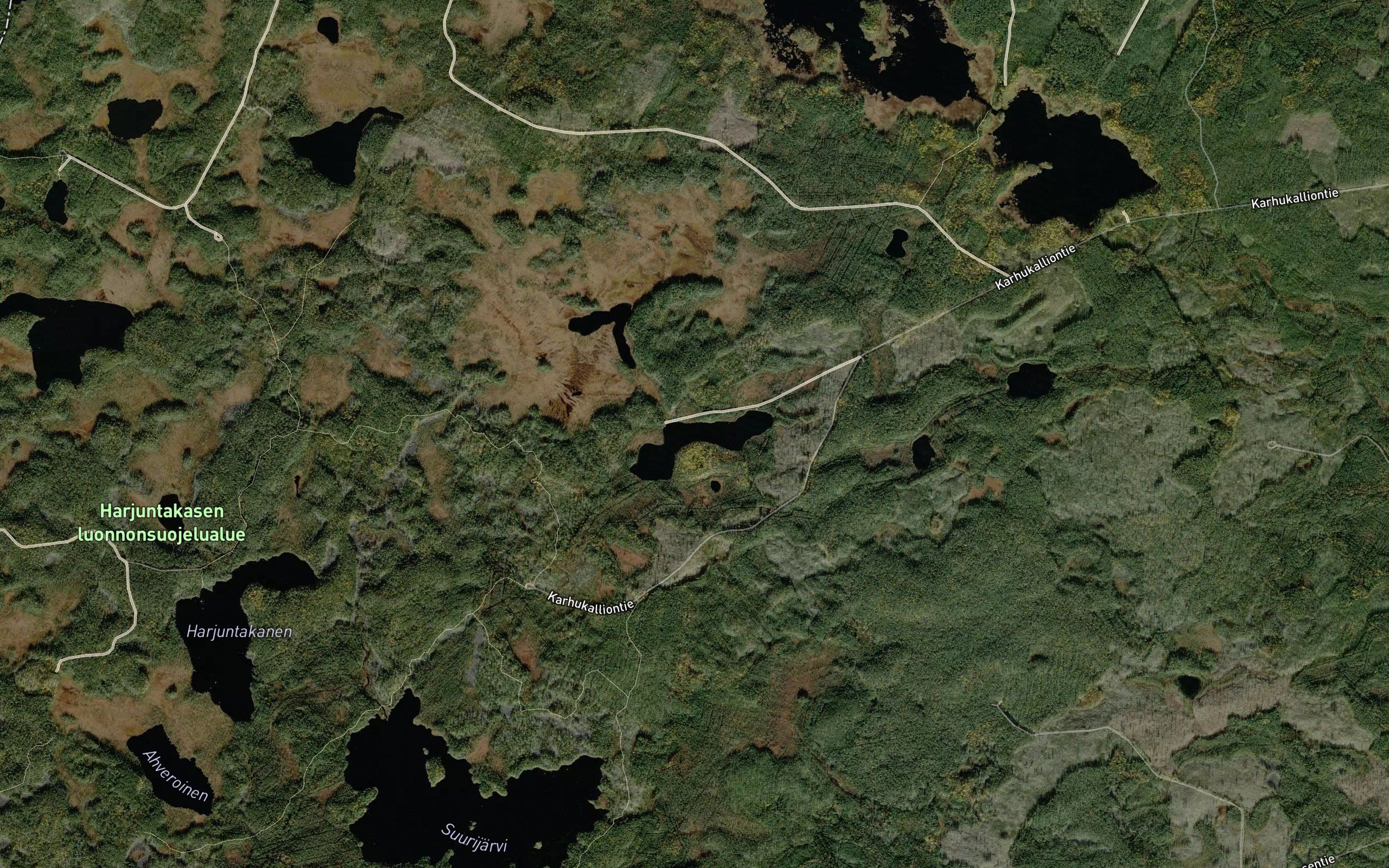 Puikkolampi
