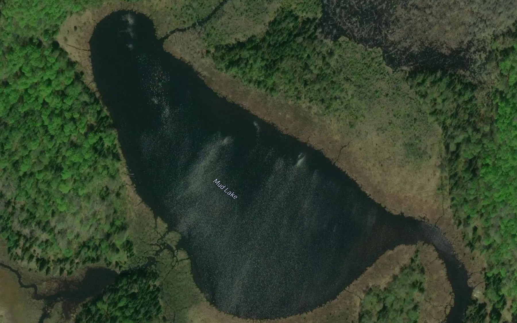 Satellite map of the Mud Lake