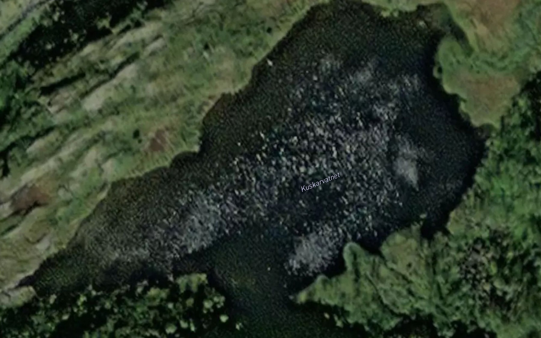 Satellite map of the Kuskardvatnet
