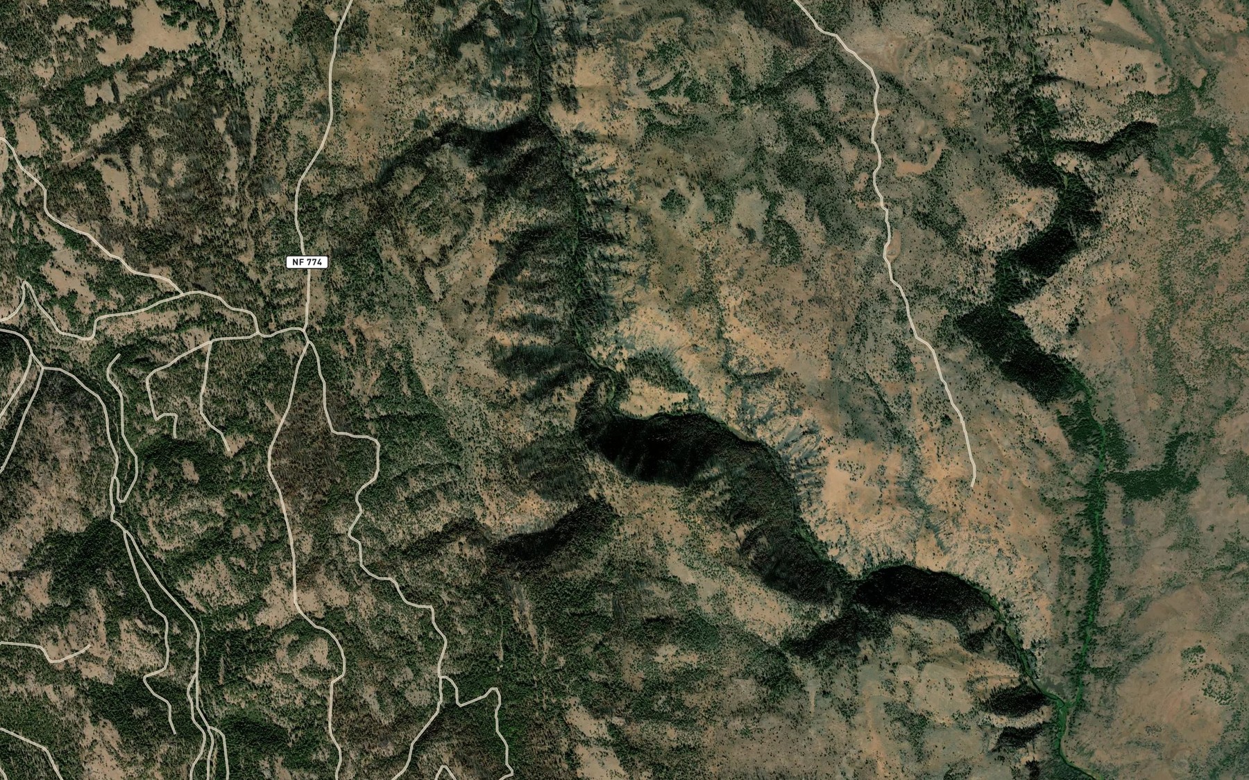 Satellite map of the Skagway Creek