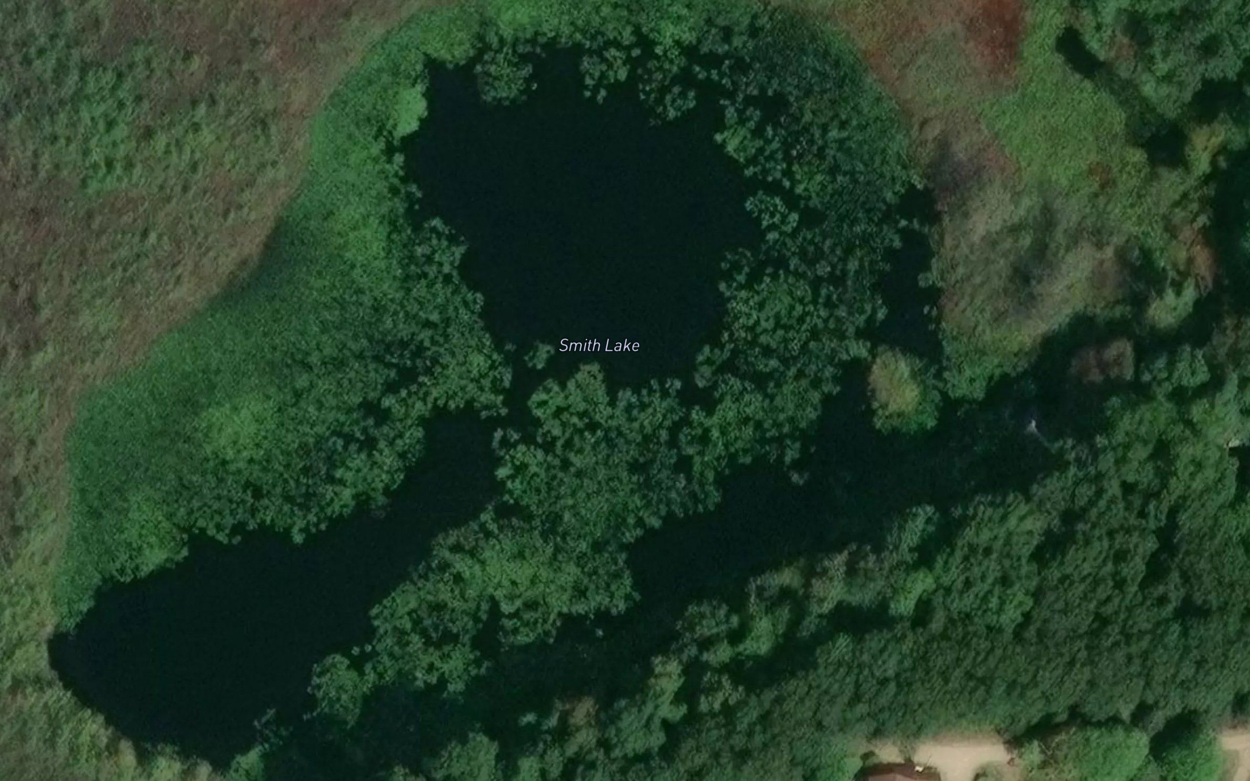 Smith Lake