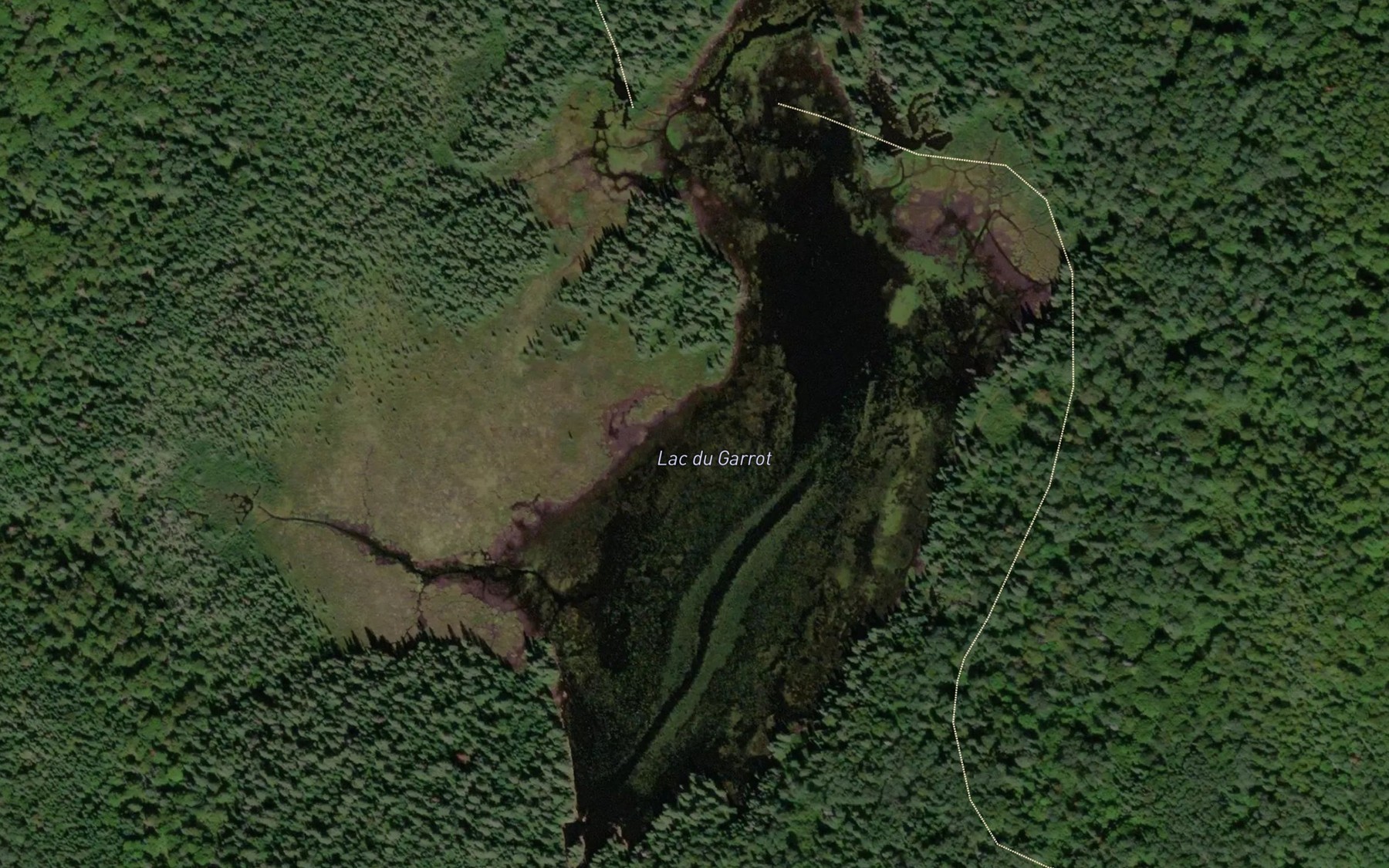 Satellite map of the Lac du Garrot