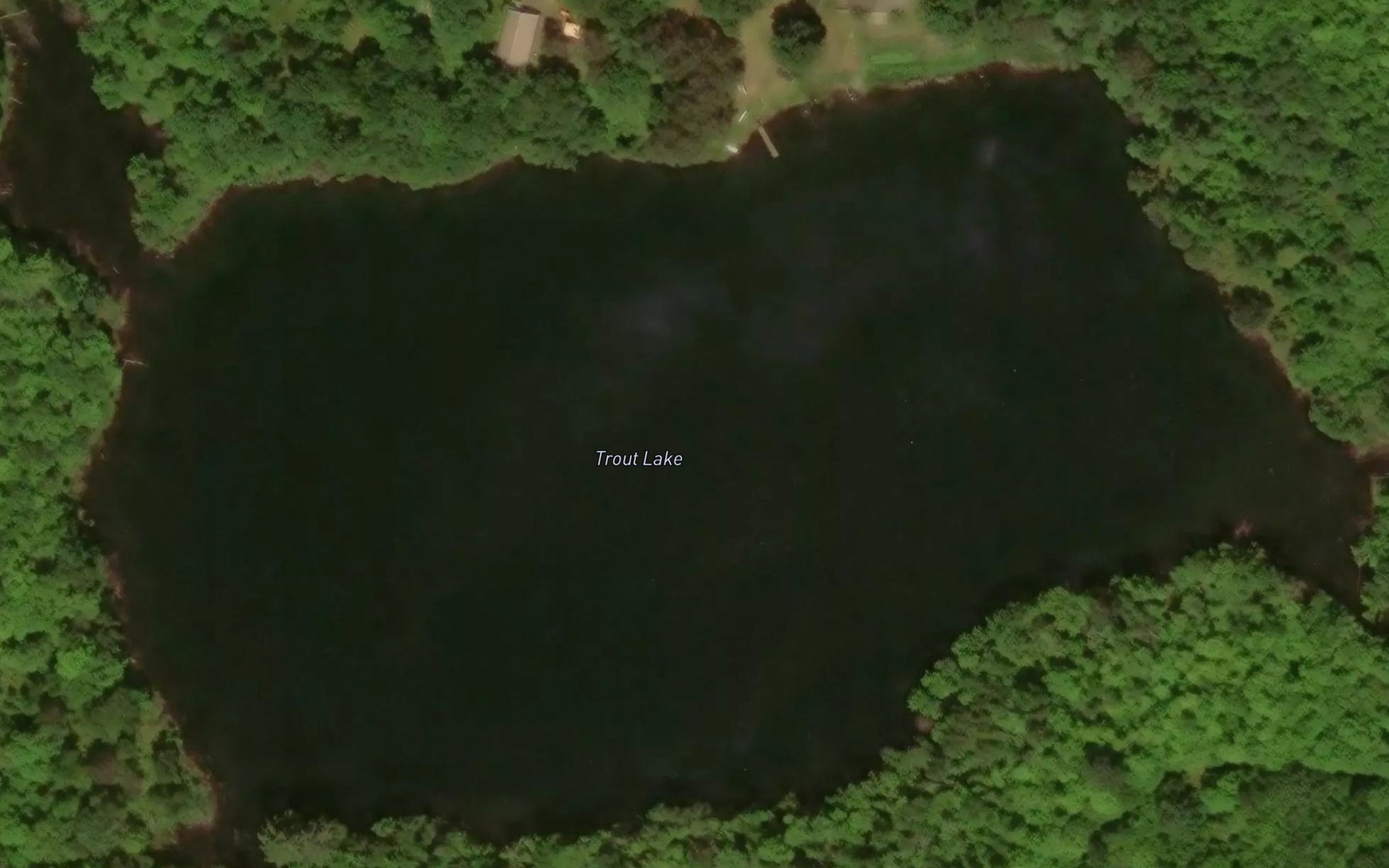 Satellite map of the Trout Lake