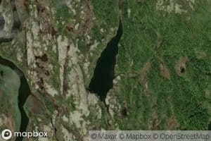 Bergtjorna