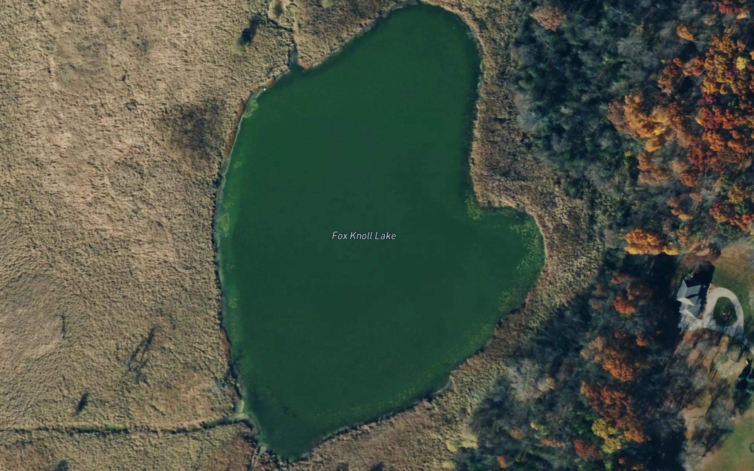 Fox Knoll Lake