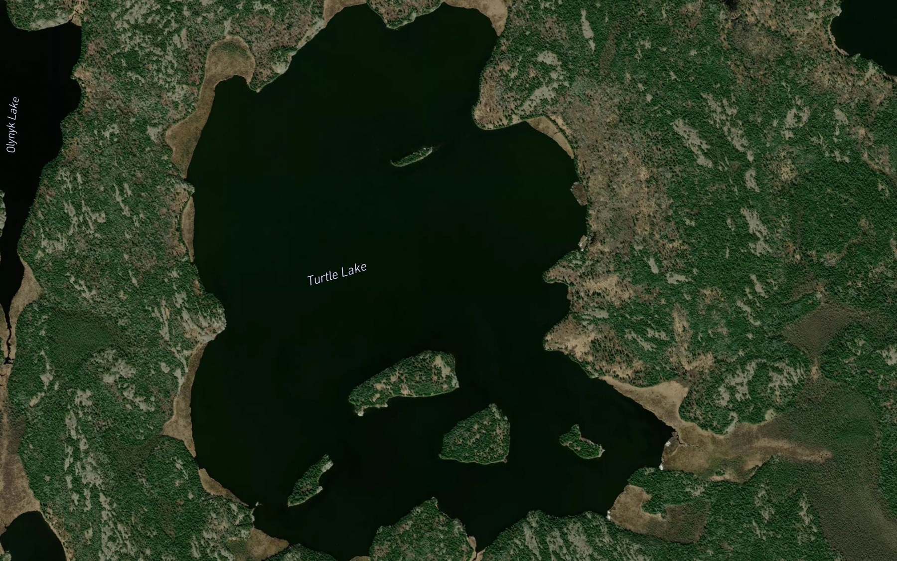 Satellite map of the Turtle Lake