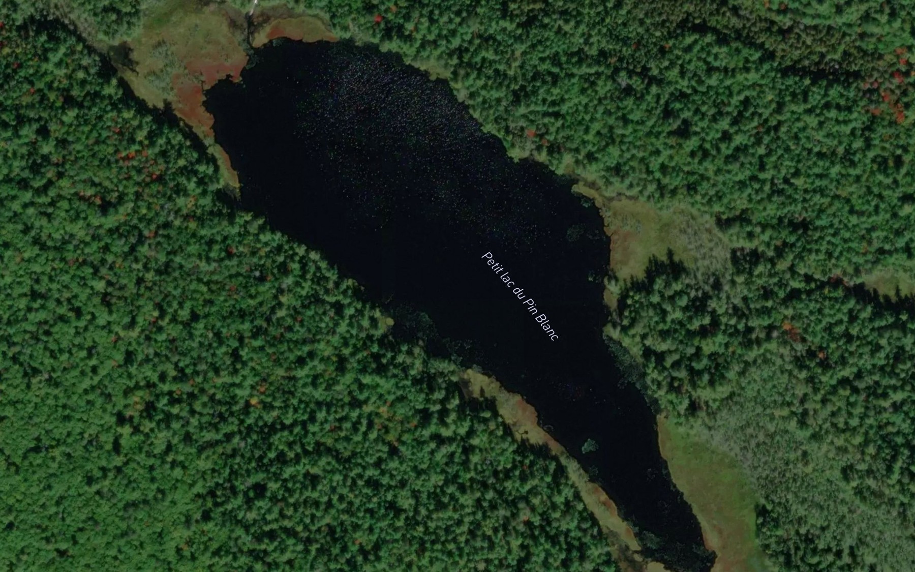 Satellite map of the Petit lac du Pin Blanc