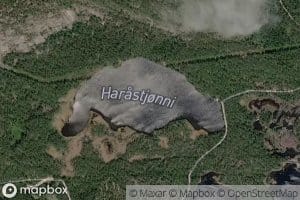 Harastjorni