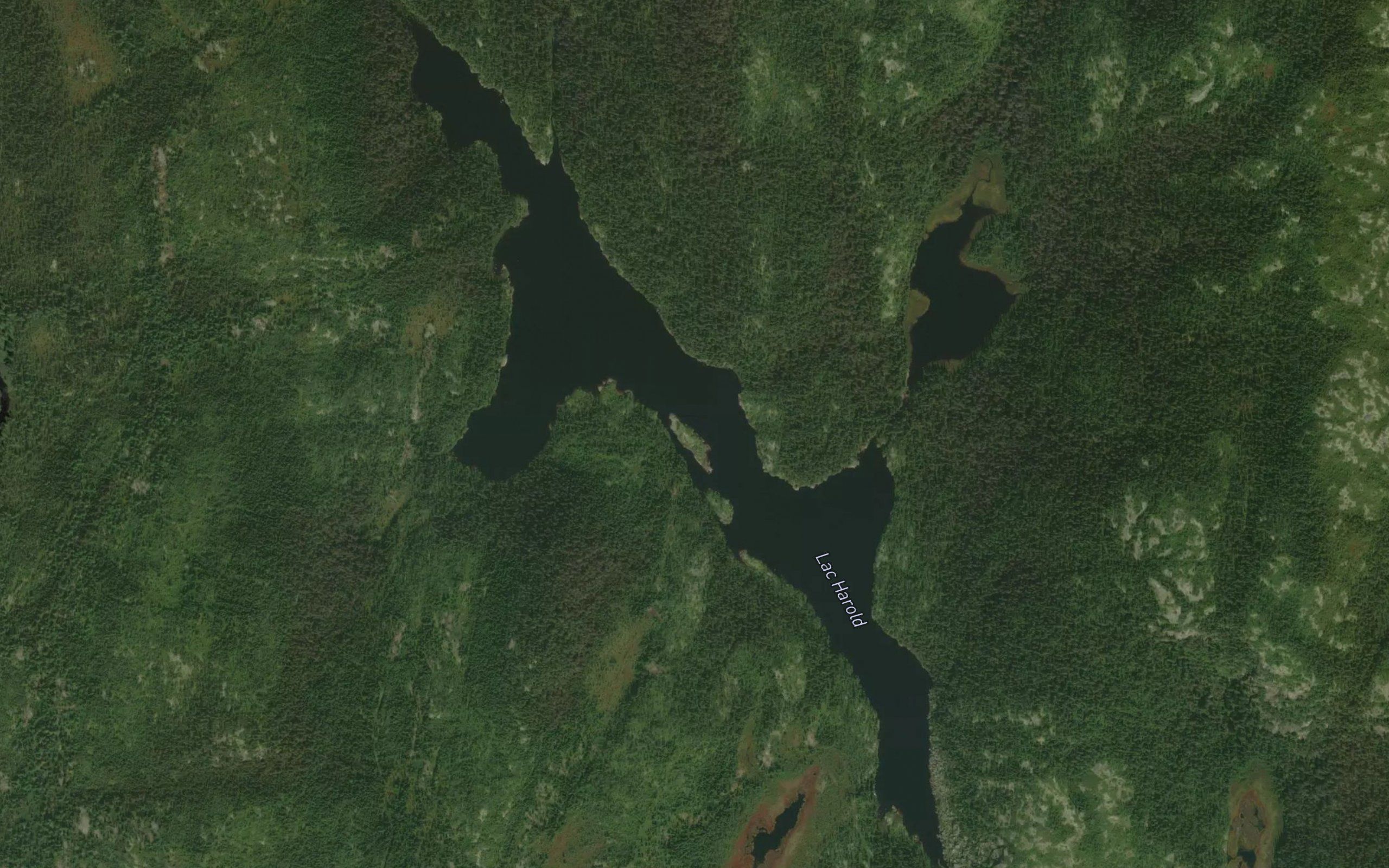 Lac Harold