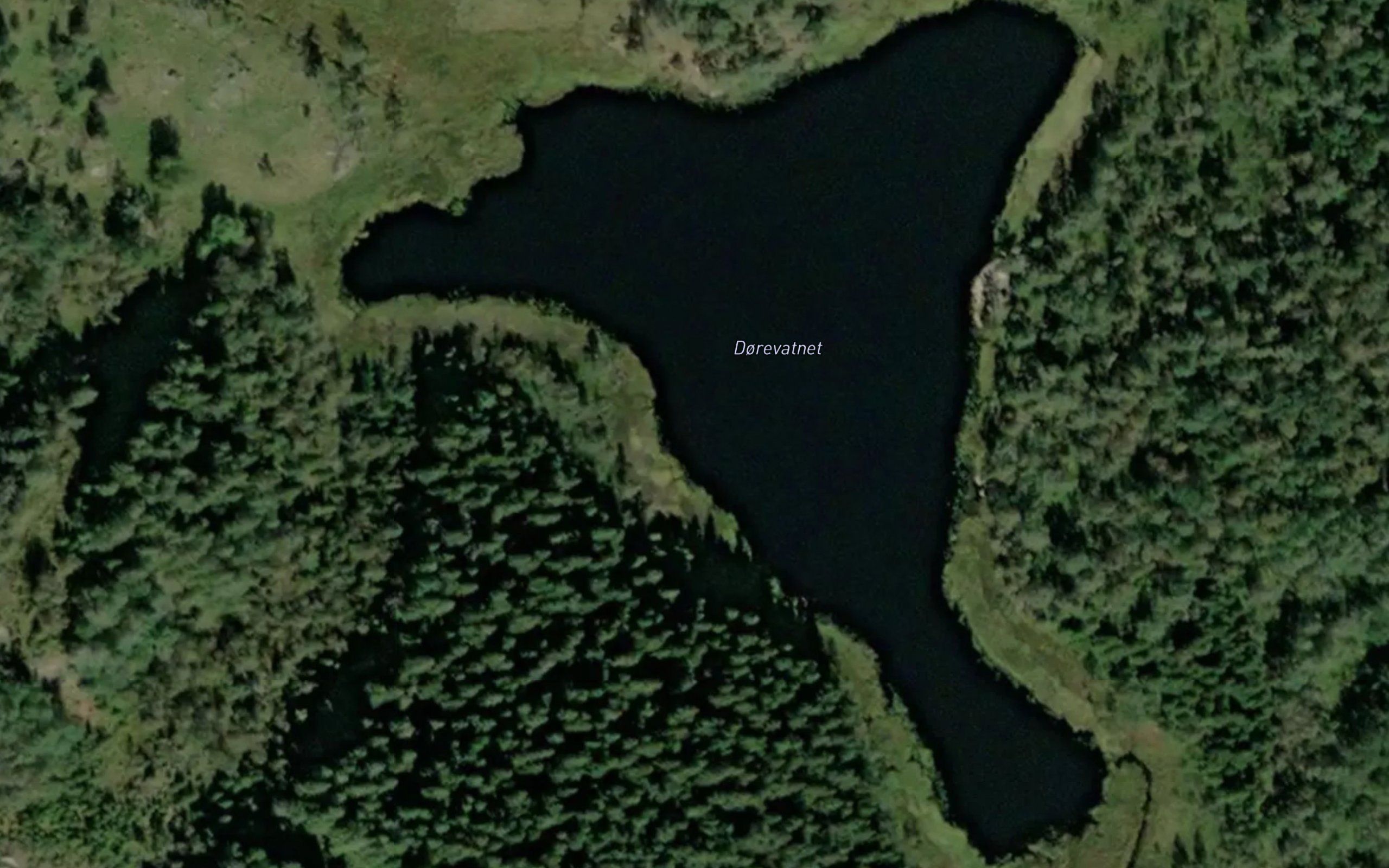 Dorevann