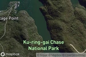 Coal and Candle Creek