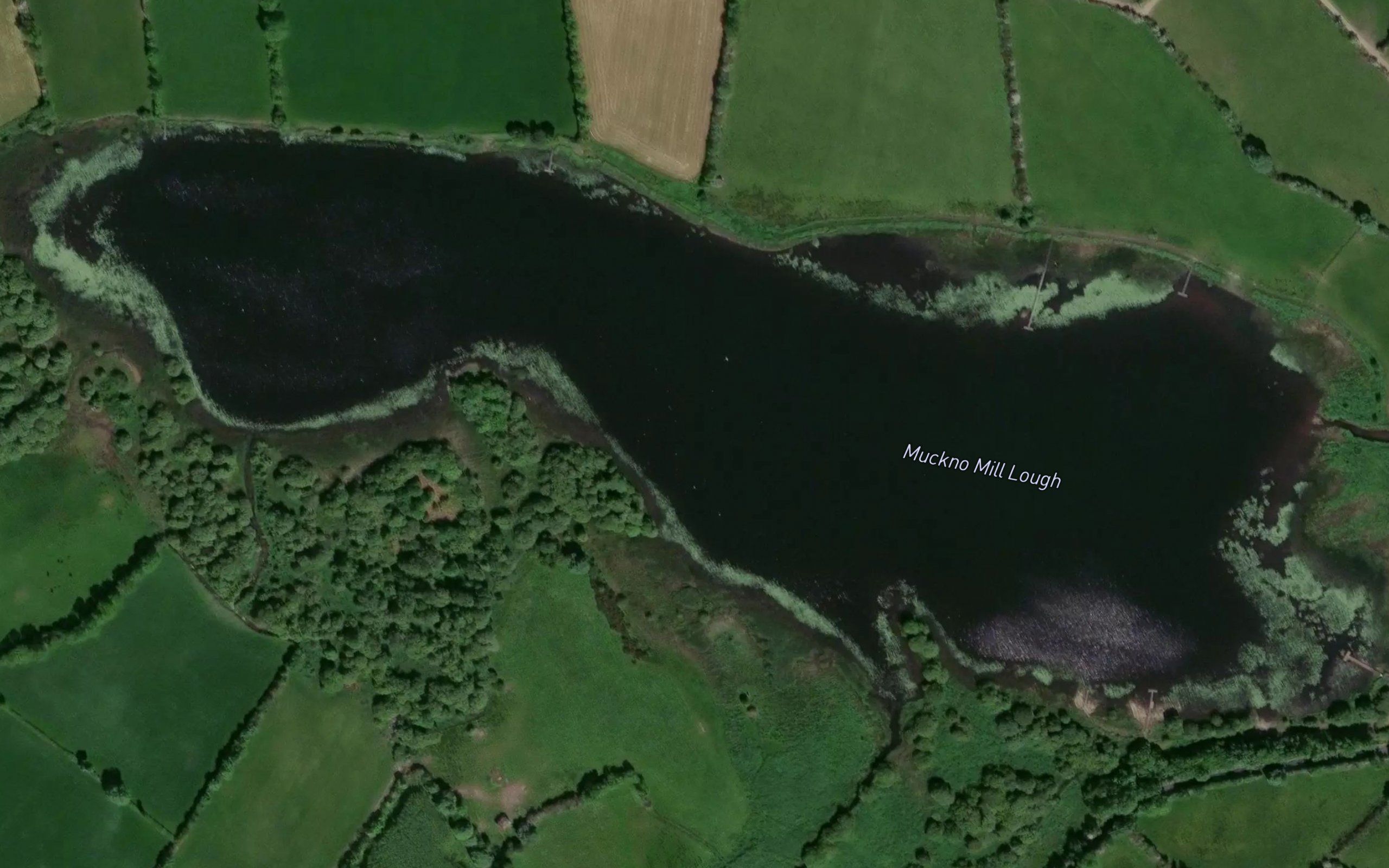 Muckno Mill Lough
