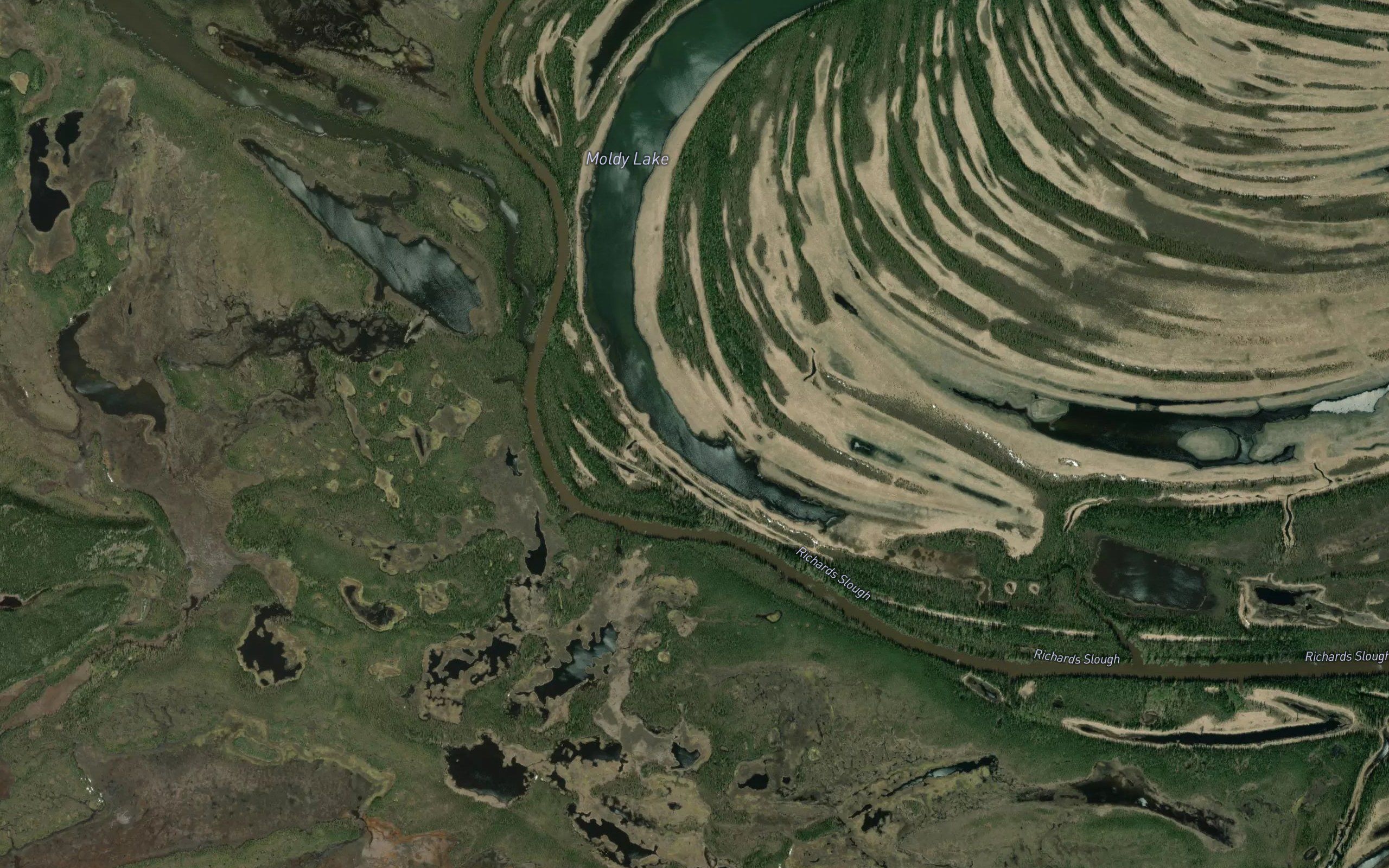 Moldy Lake