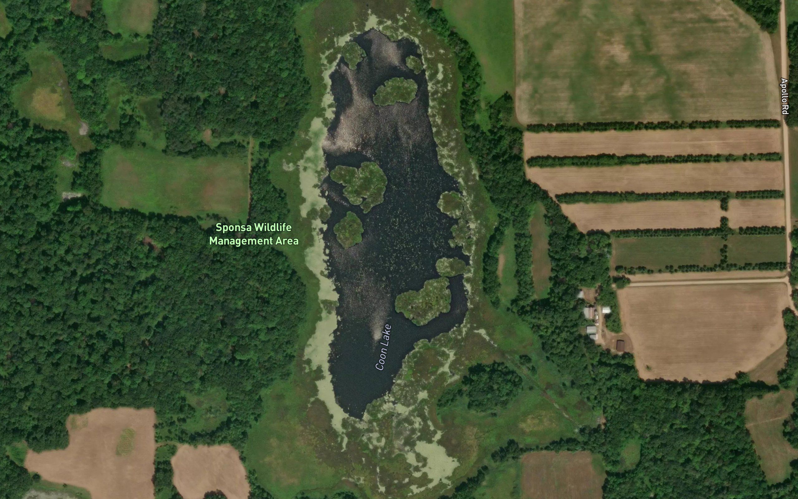 Coon Lake