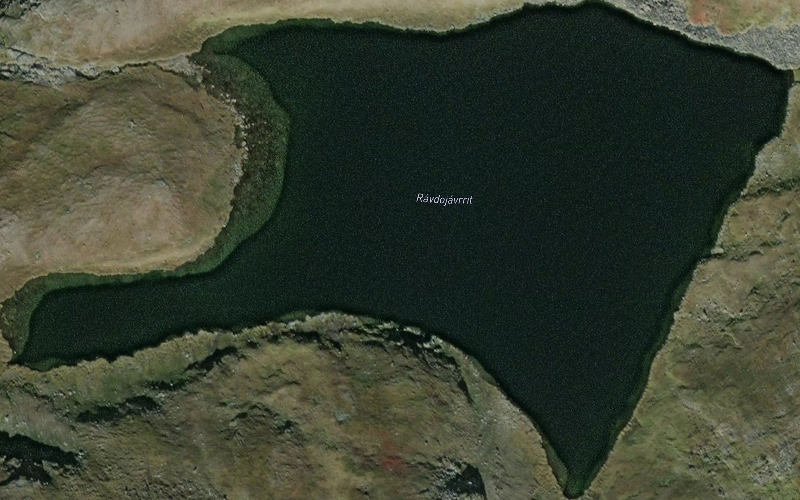 Ravdujavrit