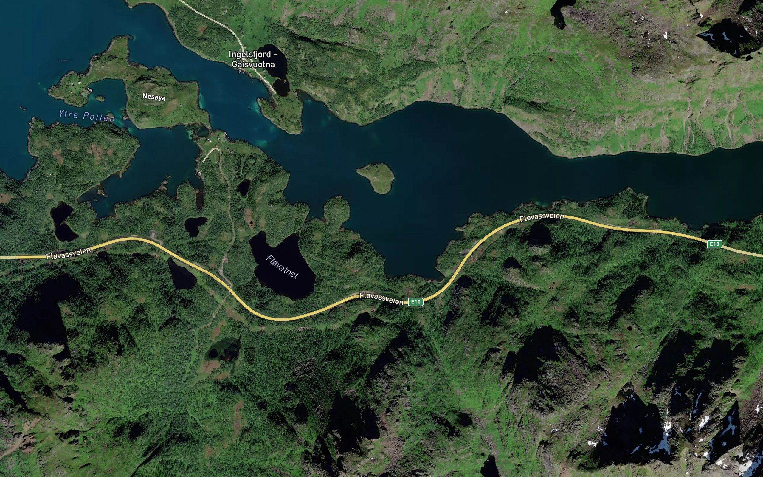 Svartskardvika