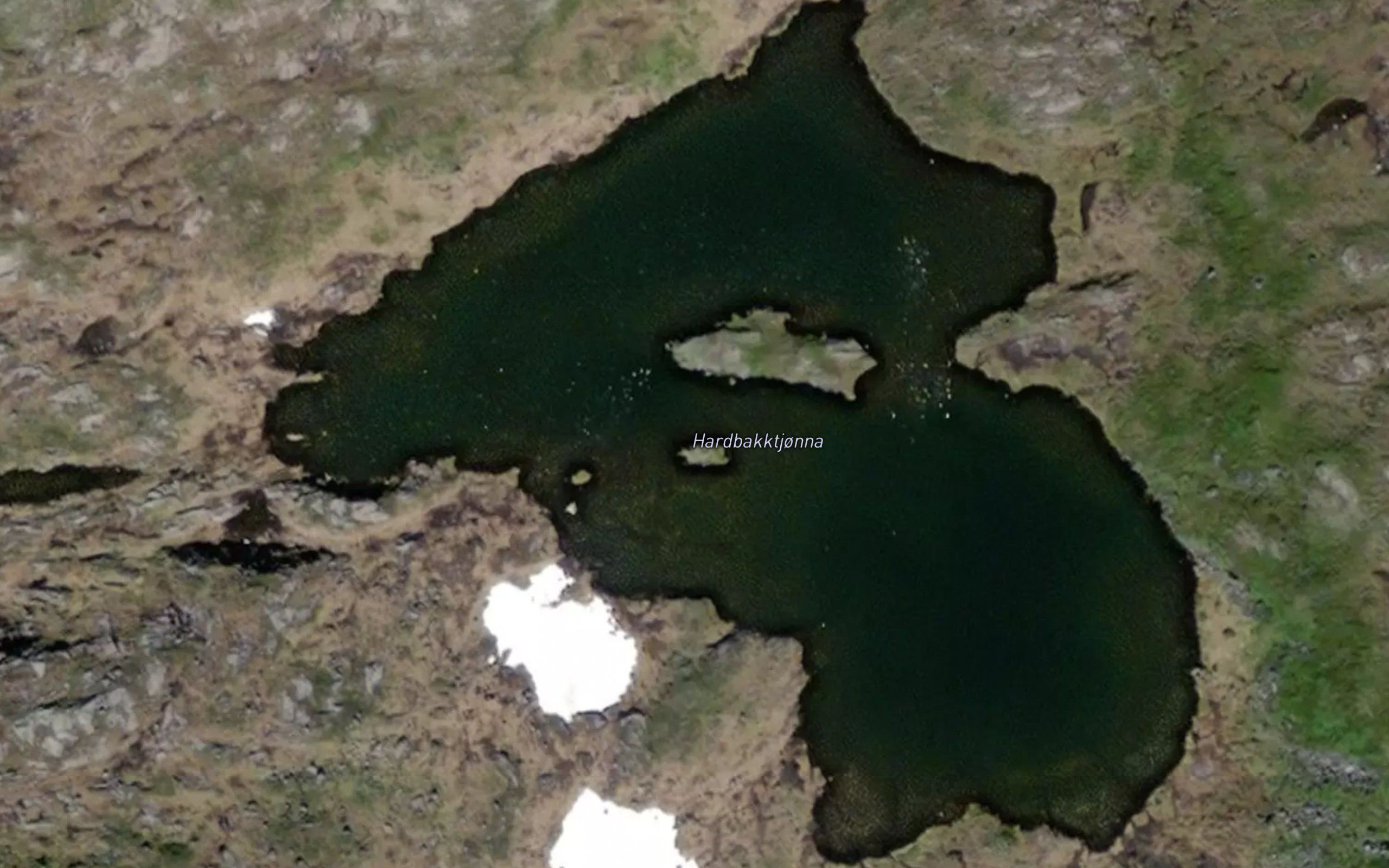 Hardbakktjorna