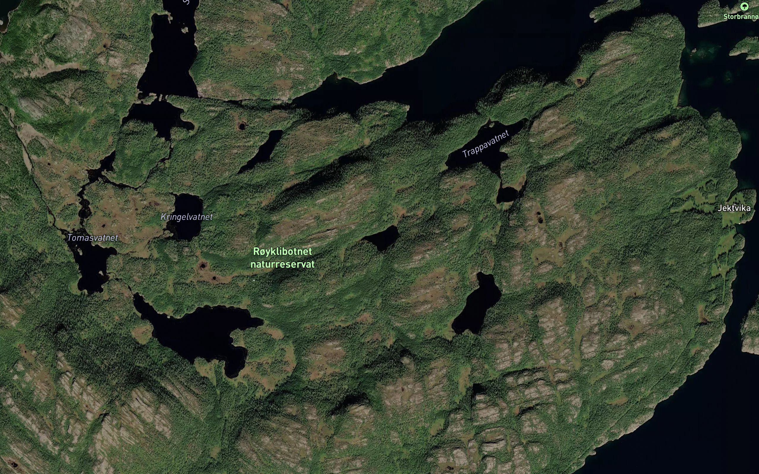 Storfjelltjonna