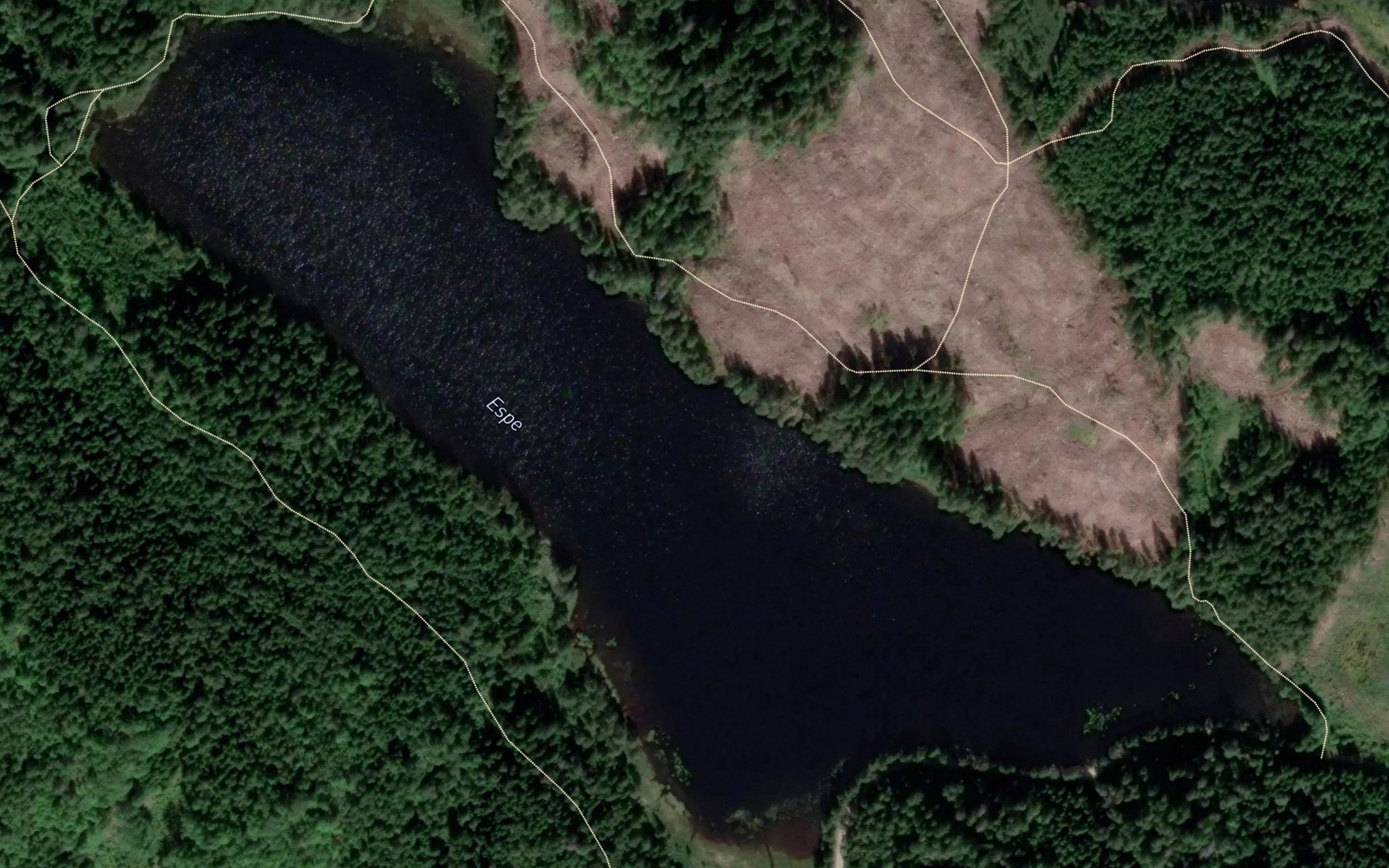 Satellite map of the Espe