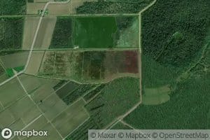 Cedar Grove Plantation Pond