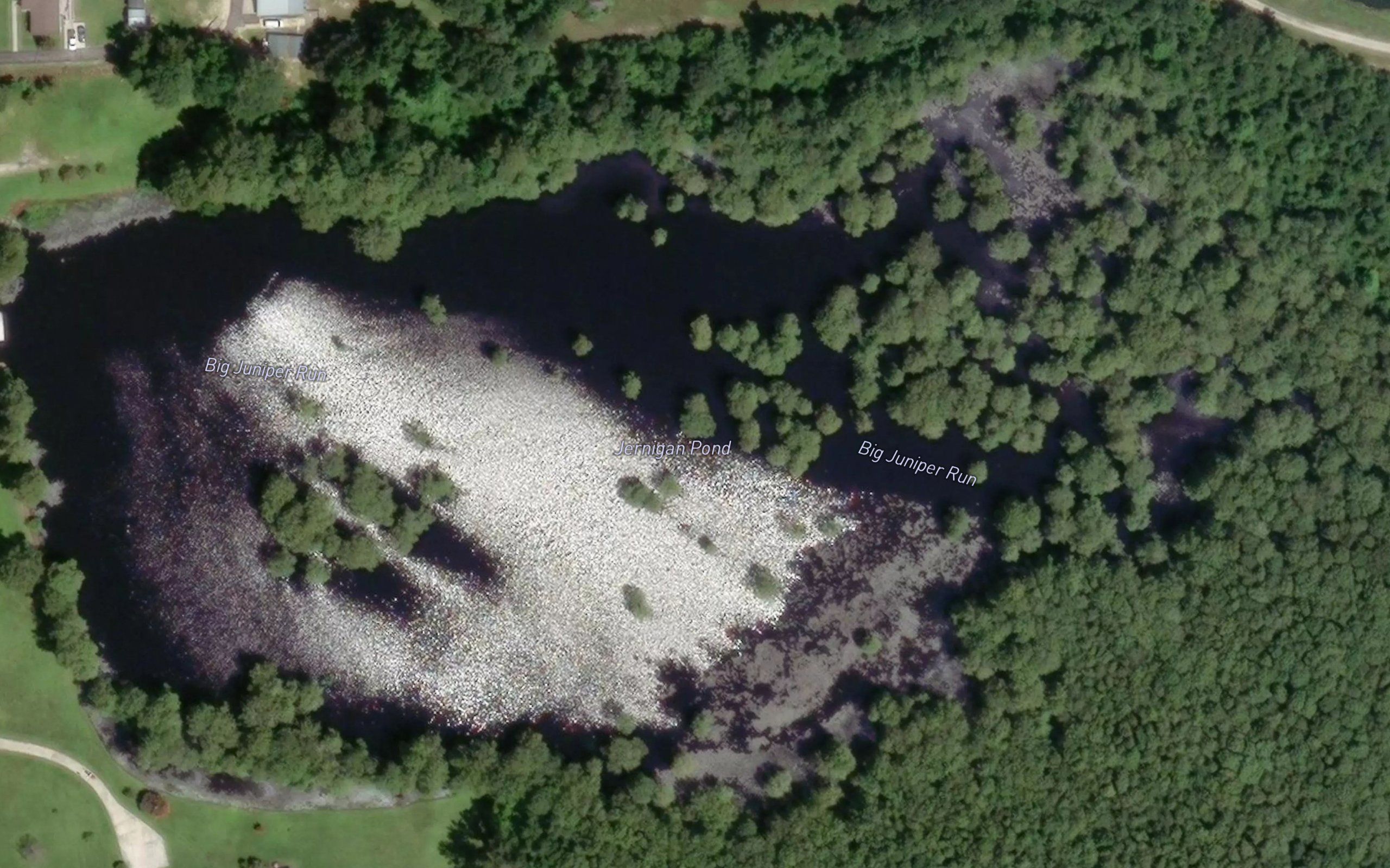 Jernigan Pond