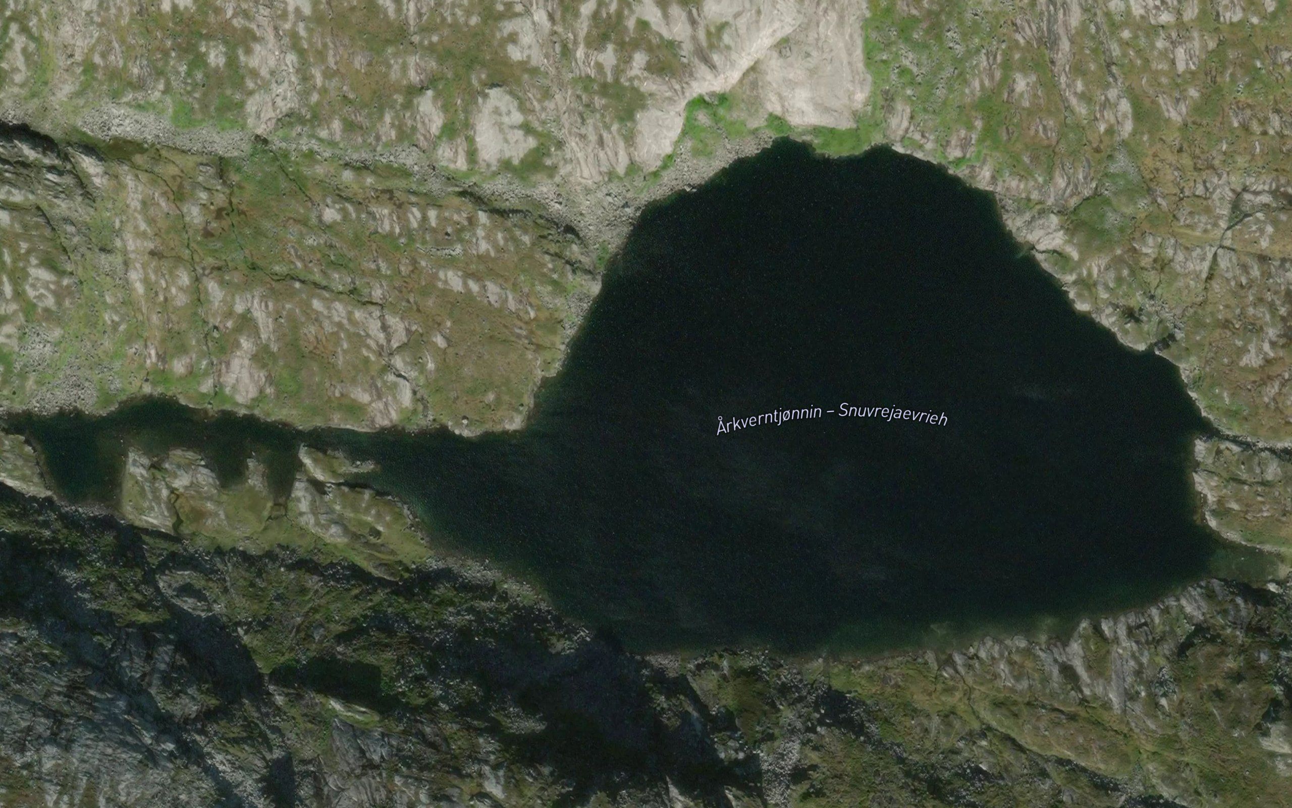 Arkverntjornin