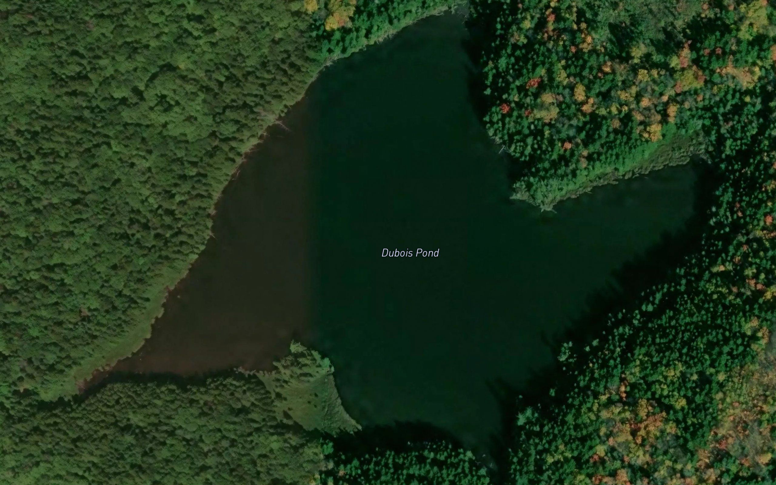 Dubois Pond